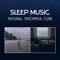 Crystal Night - Sleepy Music Zone lyrics