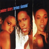 The Pointer Sisters - He Turned Me Out (Extended Dance Mix)