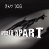 X-ray dog - The journey