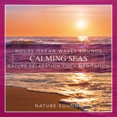 Calming Seas: Hours Ocean Waves Sounds Nature Relaxation Yoga Meditation artwork