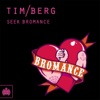 Tim Berg - Seek Bromance