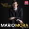 Allegro de Concierto - Mario Mora lyrics