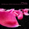 50 Beste Spa Meditationsmusik - Therapeutische Entspannungsmusik für Klangschalenmassage und Wellness Spa Musik für Ölmassage