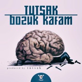 Bozuk Kafam artwork