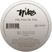 Vibes From the Tribe artwork