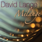 David Lange - Ambages