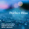 Perfect Bliss: Relaxation, Meditation, Spa Music – Healing Nature Sounds, Spiritual Joy, Extreme Happiness, Calm Mind & Body, Serenity, Sounds for Welness album lyrics, reviews, download