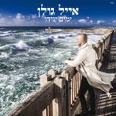 ימים יגידו artwork