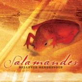 Salamander artwork