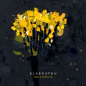 Take Care by Blaenavon