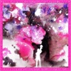 Glassmasterer - Lip Splitter