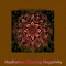 Clearing Negativity (Pure Binaural Beats) - Sangita Prana Sound Healing lyrics