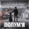 Полум'я (feat. Roman Duda) - Single