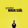 Ninja Själ - Single album lyrics, reviews, download
