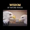 Wisdom of Nature Voices – Ultimate 50 Nature Sounds for Meditation, Relax & Concentration, Healing Mindfulness Music album lyrics, reviews, download