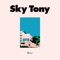 Hot Ice - Sky Tony lyrics