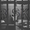 Risk Vol 1