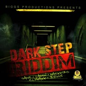 Dark Step Riddim - EP artwork