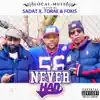 Never Had (feat. Sadat X, Torae & Fokis) - Single album lyrics, reviews, download