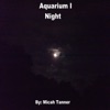 Aquarium I: Night - EP