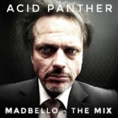 Acid Panther (The Mix) [Live] [feat. Paul Z. & Dyezzie] artwork