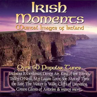 ladda ner album Various - Irish Moments