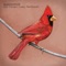 Young Cardinals - Alexisonfire lyrics