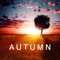 Autumn - Laura Platt lyrics
