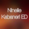 Ninelie (Kabaneri of the Iron Fortress ED) - Theishter lyrics