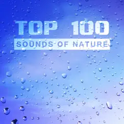 TOP 100 Sounds of Nature: Pure Rain, Ocean Waves, Chirping Birds, Relaxing Natural Ambiences, Meditation, Yoga, Spa, Massage by Serenity Nature Sounds Academy album reviews, ratings, credits