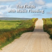 The Fields with Music Flooding artwork