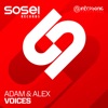 Voices (Extended Mix) - Single