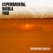 Playa Grande - Experimental Niebla Trio lyrics