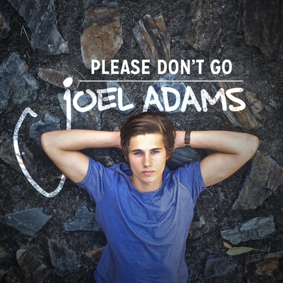 Cover artwork for Please Don't Go (A Cappella)