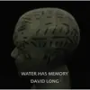 Water Has Memory album lyrics, reviews, download