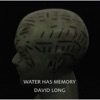 Water Has Memory