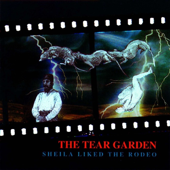 Cover artwork for Sheila Liked the Rodeo