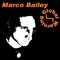 Fletcher - DJ Marco Bailey lyrics