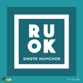 R U OK (เช็ด) artwork