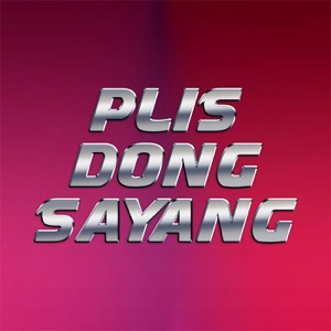 NDX A.K.A - Plis Dong Sayang - 排舞 音乐