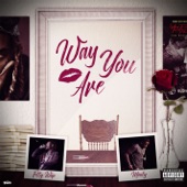 Way You Are (feat. Monty) artwork