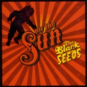 The Black Seeds - Shazzy Dub