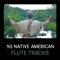 Indian Flute - Nature Music Sanctuary lyrics