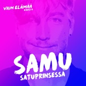 Satuprinsessa (Vain elämää kausi 6) artwork