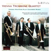 String Quartet No.13 in A Minor, Op. 29, D. 804 "Rosamunde": II. Andante (Arr. for Trombone Quartet by Otmar Gaiswinkler) artwork