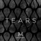 Tears - Matt Hammitt lyrics