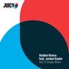 Robbie Rivera - Not a Single Word (feat. Jordan Kaahn)