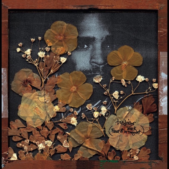 Cover artwork for Avantcore