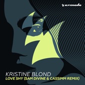 Love Shy (Sam Divine & CASSIMM Extended Remix) artwork