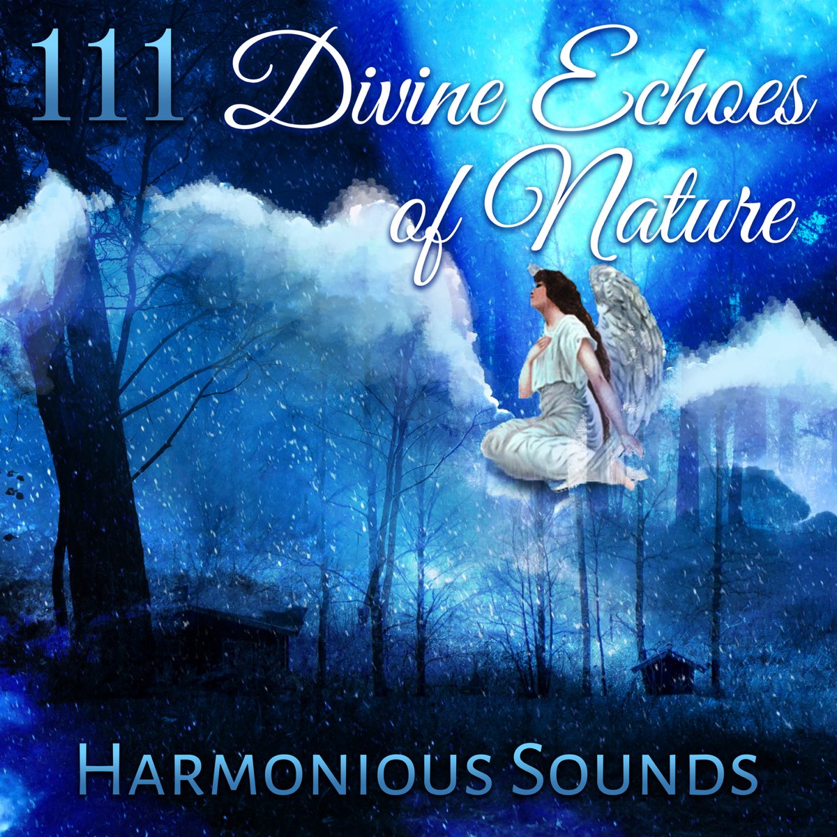 ‎111 Divine Echoes Of Nature: Harmonious Sounds, Zen Meditation, Reiki 